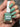 Vegan 10-Free Nail Polish